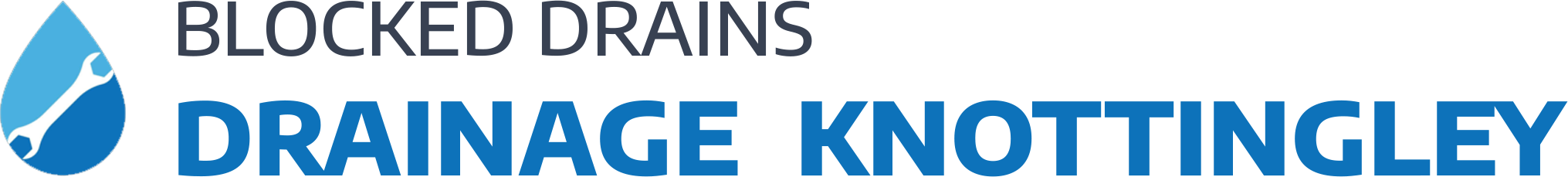 website logo